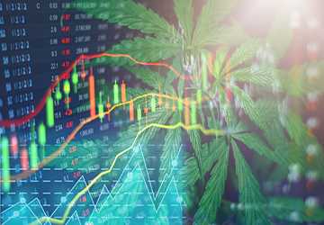 Top 10 Cannabis Stocks in a Growing Market