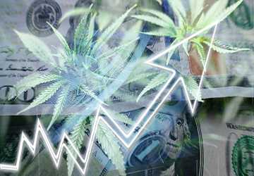 Top 10 Cannabis Stocks in a Growing Market