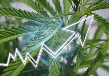 Top 10 Cannabis Stocks in a Growing Market